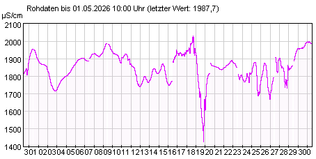 Gütemeßstation Frankfurt (Oder) elektr. Leitfähigkeit der letzten 31 Tage